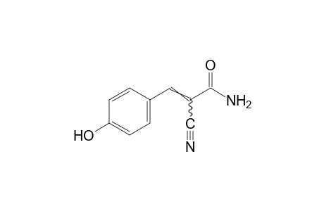 alpha-CYANO-4-HYDROXYCINNAMAMIDE