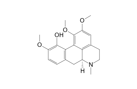 ICD;ISOCORYDINE