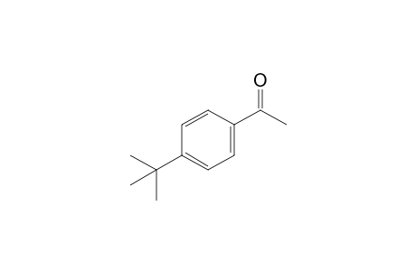 4'-tert-Butyl-acetophenone