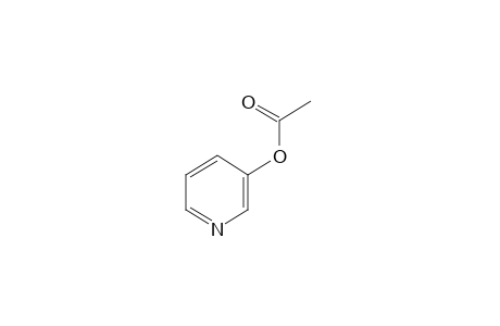 3-Pyridinol, acetate (ester)