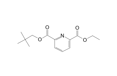 2,6-Pyridinedicarboxylic acid, ethyl neopentyl ester