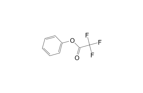 Phenyl trifluoroacetate