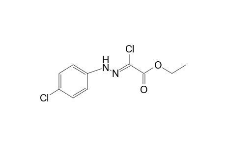 chloroglyoxylic acid, ethyl ester, p-chlorophenyhydrazone