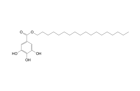 gallic acid, octadecyl ester