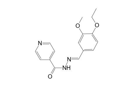 N'-[(E)-(4-ethoxy-3-methoxyphenyl)methylidene]isonicotinohydrazide