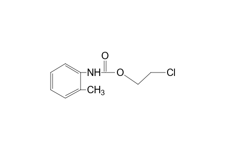 o-methylcarbanilic acid, 2-chloroethyl ester