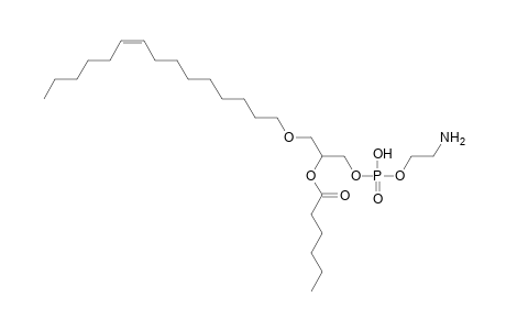 PE O-15:1_6:0