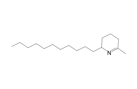 6-Methyl-2-undecyl-2,3,4,5-tetrahydropyridine