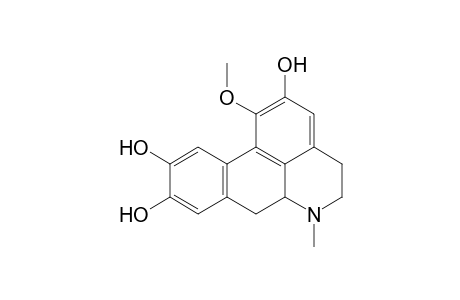 Boldine-M (533) MS3_1