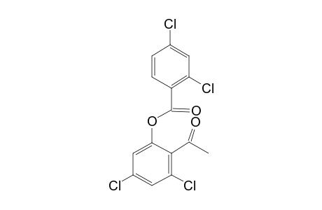 4',6'-DICHLORO-2'-(2,4-DICHLOROBENZOYLOXY)-ACETOPHENONE