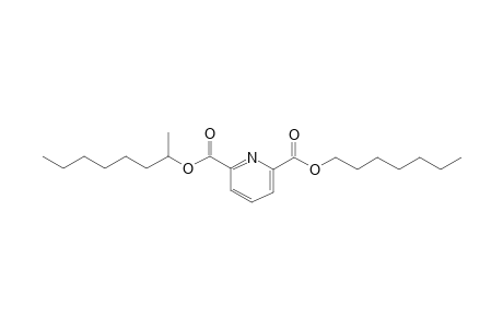 2,6-Pyridinedicarboxylic acid, heptyl 2-octyl ester