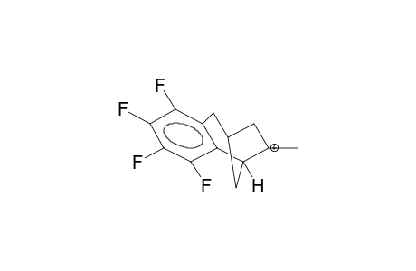 6-METHYL-3,4-TETRAFLUOROBENZOBICYCLO[3.2.1]OCTEN-6-YL CATION