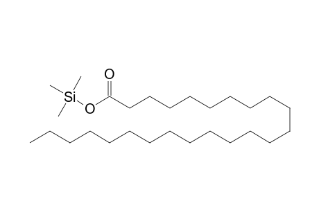 Tetracosanoic acid, trimethylsilyl ester