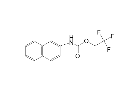 2-NAPHTHALENECARBAMIC ACID, 2,2,2-TRIFLUOROETHYL ESTER