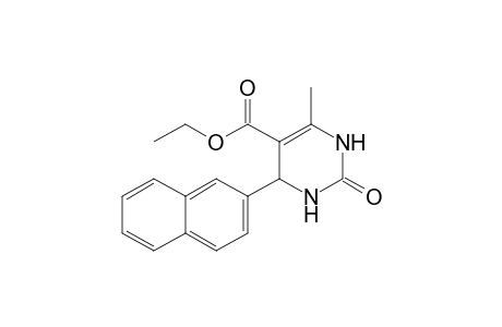 2-keto-6-methyl-4-(2-naphthyl)-3,4-dihydro-1H-pyrimidine-5-carboxylic acid ethyl ester