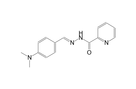 2-pyridinecarboxylic acid, 2-[(E)-[4-(dimethylamino)phenyl]methylidene]hydrazide