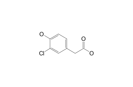 3-Chloro-4-hydroxyphenylacetic acid