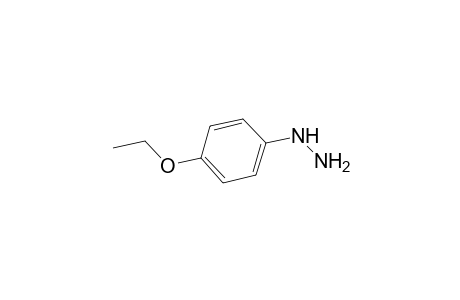 4-Ethoxyphenylhydrazine