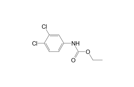 3,4-dichlorocarbanilic acid, ethyl ester