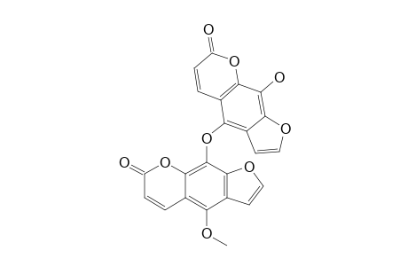 RIVULOBIRIN-B