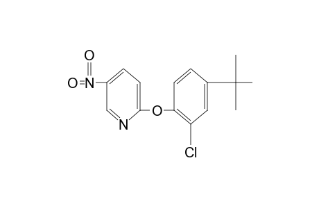 2-(4-tert-butyl-2-chlorophenoxy)-5-nitropyridine
