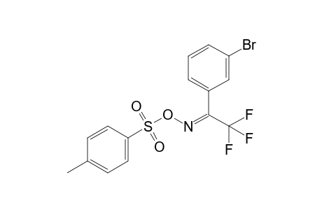 1-(3'-Bromophenyl)-2,2,2-trifluoro-1-ethanone - O-(p-tolylsulfonyl)oxime