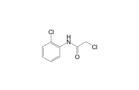 2-chloro-N-(2-chlorophenyl)acetamide