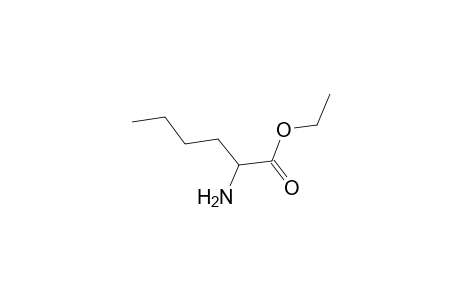 dl-Norleucine, ethyl ester