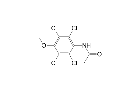 N-(2,3,5,6-tetrachloro-4-methoxyphenyl)acetamide