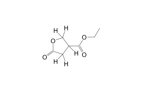 5-oxotetrahydro-3-furoic acid, ethyl ester