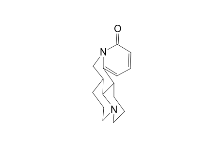 Iso-Sophoramine