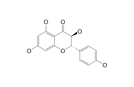 Aromadendrin