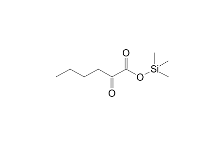 Trimethylsilyl 2-oxohexanoate