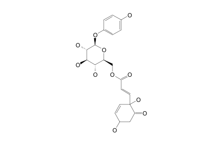 ROBUSTASIDE_E