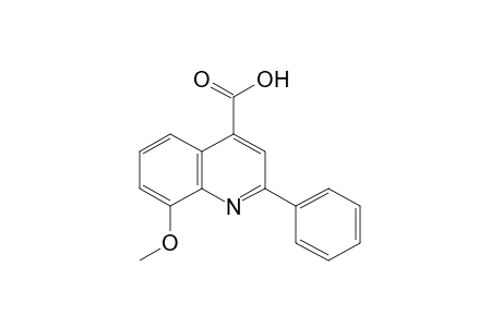 8-methoxy-2-phenylcinchoninic acid