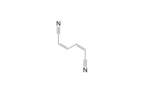 cis,cis-Mucononitrile