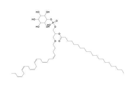 PI O-22:6_21:0