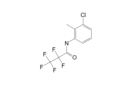 3-Chloro-o-toluidine, N-pentafluoropropionyl-