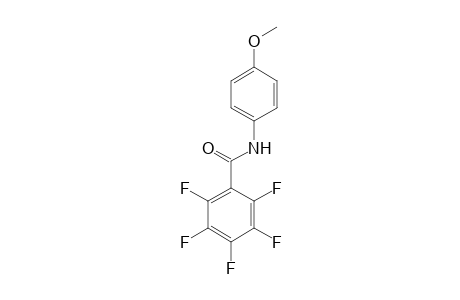 2,3,4,5,6-Pentafluoro-N-(4-methoxyphenyl)benzamide