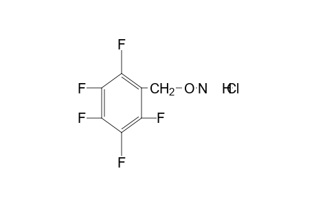 O-(2,3,4,5,6-Pentafluorobenzyl)hydroxylamine hydrochloride