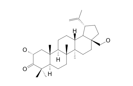 MAYTEFOLIN-A;2-ALPHA,28-DIHYDROXY-3-OXO-20-LUPENE