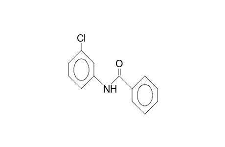 3'-Chloro-benzanilide