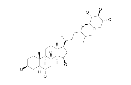 PYCNOPODIOSIDE-A;(24S)-24-O-(BETA-D-XYLOPYRANOSYL)-5-ALPHA-CHOLESTANE-3-BETA,6-ALPHA,8,15-BETA,24-PENTAOL