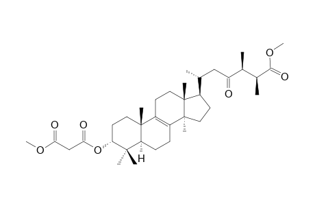 DIMETHYL-CARBOXYACETYL-QUERCINATE