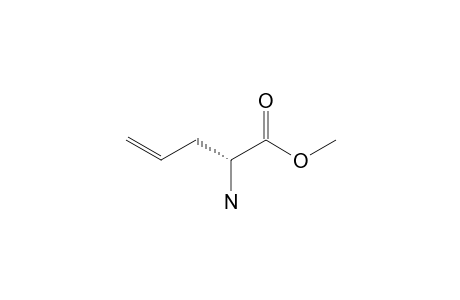 (2S)-ALLYLGLYCINE-METHYLESTER