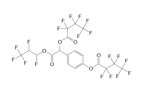 Phma-pfnp-di-hfb