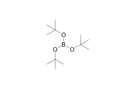 Tri-tert-butoxyborane