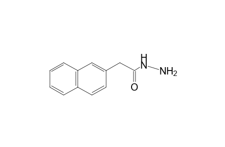 2-naphthaleneacetic acid, hydrazide