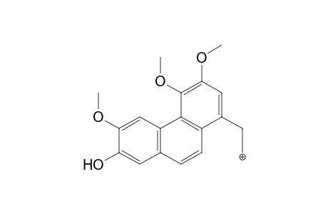 Lirioferrine MS3_1