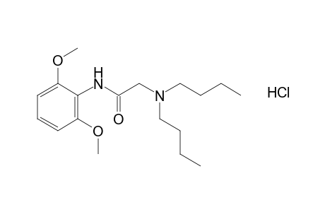 2-(dibutylamino)-2',6'-dimethoxyacetanilide, hydrochloride